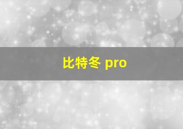 比特冬 pro